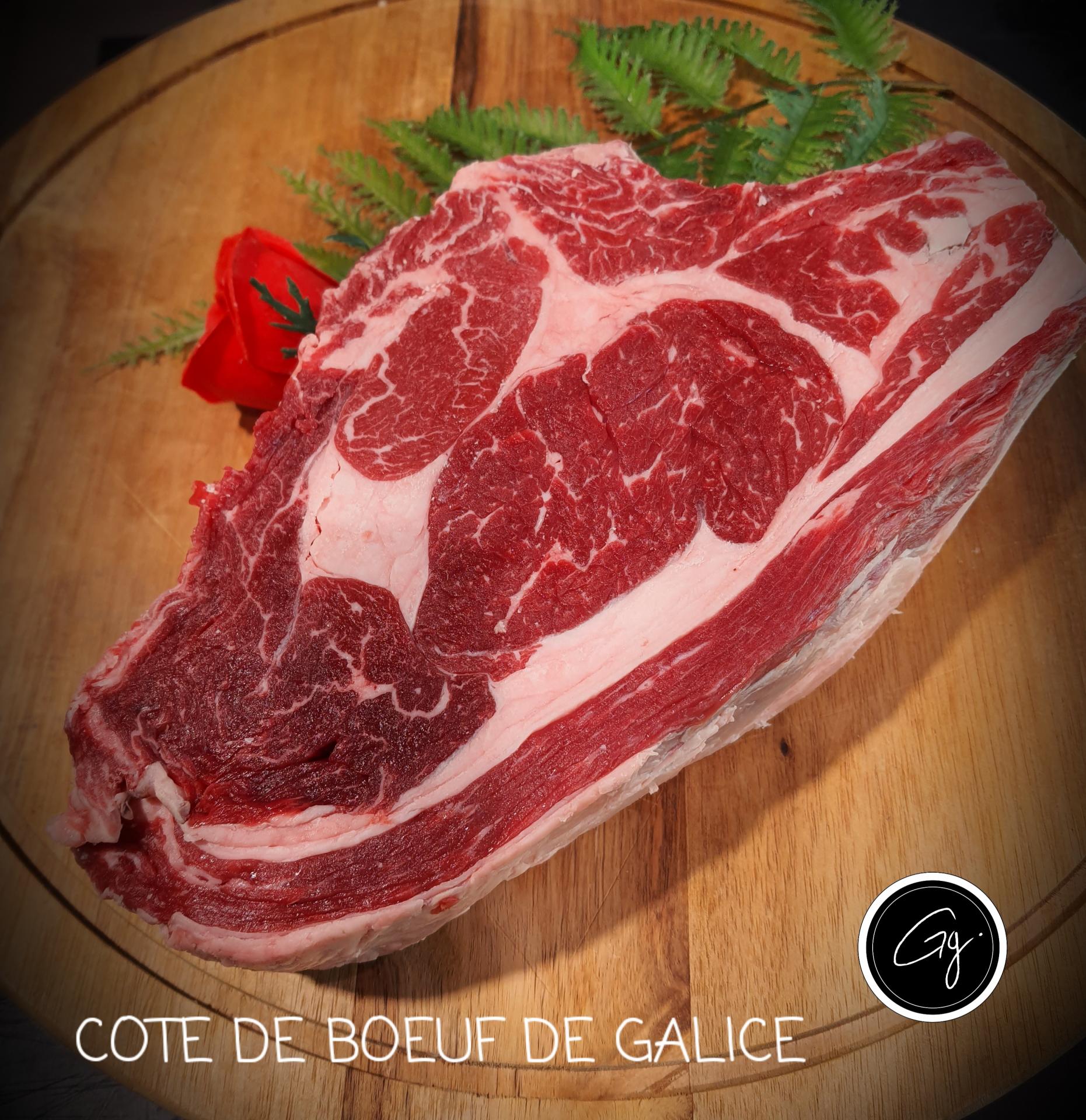 Boeuf de galice